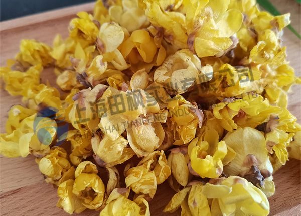 臘梅花凍干，鮮花冷凍干燥機(jī)