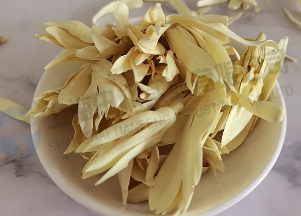 白玉蘭凍干，鮮花凍干機(jī)應(yīng)用于白玉蘭真空冷凍干燥
